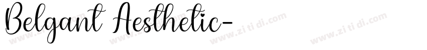 Belgant Aesthetic字体转换